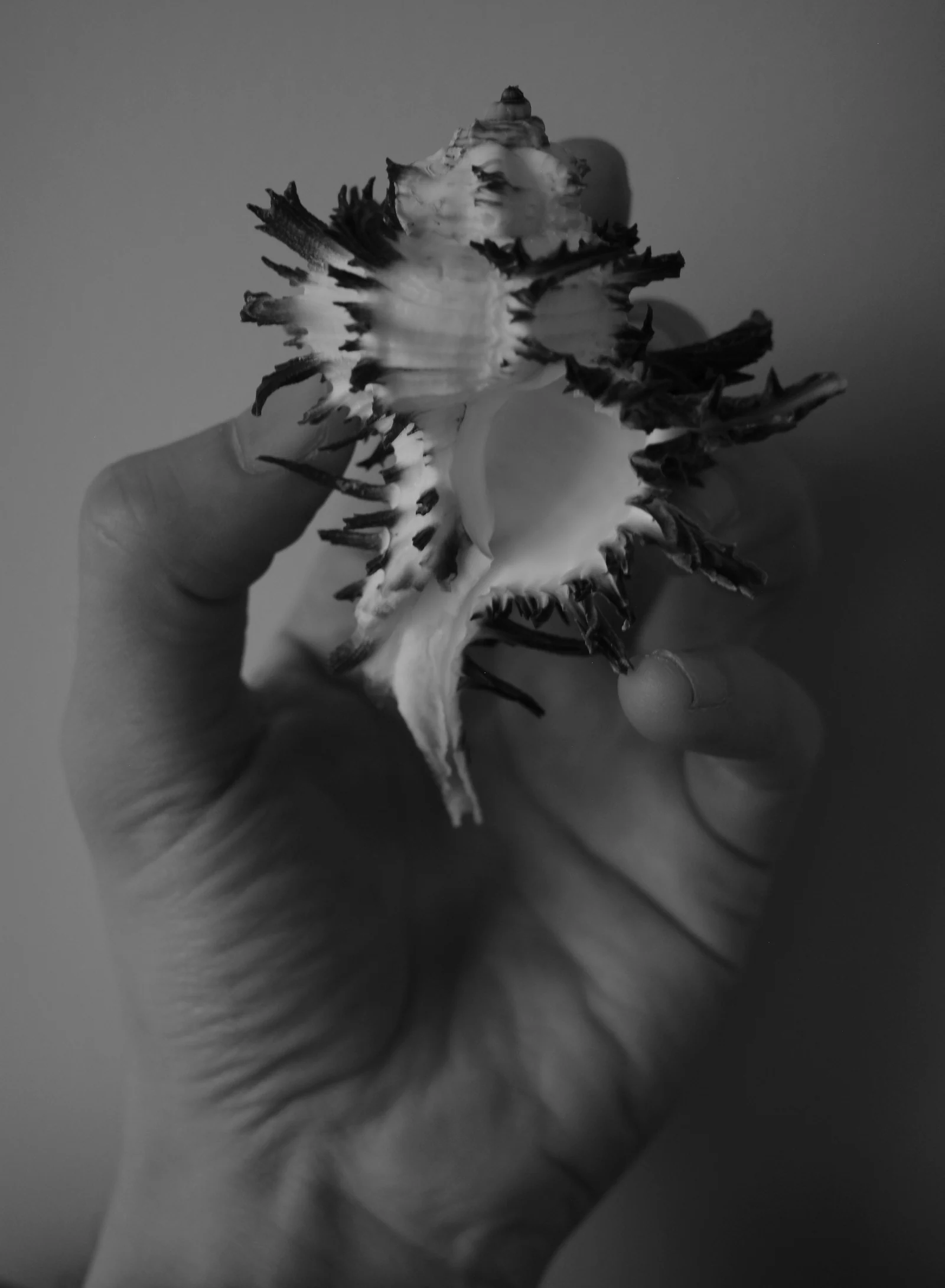 Work 68 by Nicolas Hendrickx